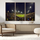 Central Michigan University Chippewas Canvas Wall Art,