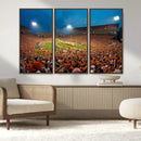 Clemson University Tigers Football Team Print - Clemson
