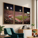 Indiana University Hoosiers Football Team Print Canvas