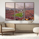 Iowa State University Cyclones Football Team Print - Ames