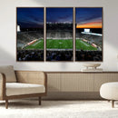 Michigan State Spartans Football Team Print - East Lansing