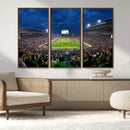 Michigan State Spartans Football Team Print - East Lansing
