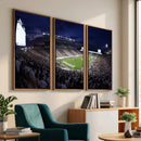 Michigan State Spartans Canvas, Framed Football Team Print -