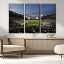 Michigan State Spartans Football Team Print - East Lansing