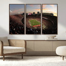 Ohio State University Buckeyes Football Team Print -