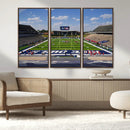 Rice University Owls Football Team Print - Houston Rice by MyGreatCanvas | Canvas Wall Art Prints | Photo Prints & Wall Decor