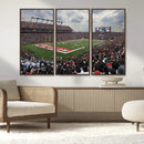 Rutgers Scarlet Knights Football Team Print - SHI Stadium,