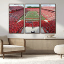 Rutgers Scarlet Knights Football Team Print - Piscataway SHI by MyGreatCanvas | Canvas Wall Art Prints | Photo Prints & Wall Decor