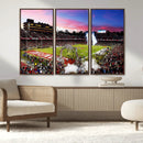 Stanford University Cardinal Football Team Print - Stanford