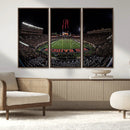 Framed Texas Tech Red Raiders Stadium Canvas, Texas Tech Red