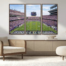 TCU Horned Frogs Football Team Print - Fort Worth Amon G.