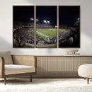 TCU Horned Frogs Football Team Print - Fort Worth Amon G.