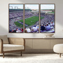 The Texas Christian University TCU Horned Frogs Football