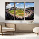 The Texas A&M University Aggies Athletics Team Print -