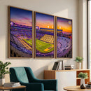 The Louisiana State University Tigers Football Team Print -
