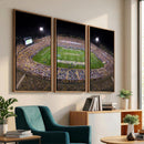 The University of Connecticut UCONN Huskies Football Team
