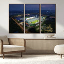 The University of South Florida Bulls Football Team Print - by MyGreatCanvas | Canvas Wall Art Prints | Photo Prints & Wall Decor
