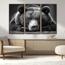 Resting Grizzly 399 Bear Canvas Print | Ready to Hang Wall