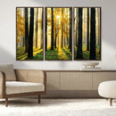 Sunlit Forest Wall Art Canvas Print – Large Framed Woodland