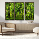 Lush Green Forest Canvas Print | 3-Panel Forest Wall Art |