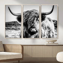 Highland Cow Wall Art – Black and White Framed Farmhouse by MyGreatCanvas | Canvas Wall Art Prints | Photo Prints & Wall Decor