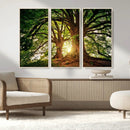 Majestic Ancient Tree Wall Art, NatureCanvas Print, Woodland by MyGreatCanvas | Canvas Wall Art Prints | Photo Prints & Wall Decor