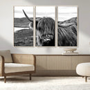 Longhorn Steer Canvas Print Wall Art, Highland Cow Canvas by MyGreatCanvas | Canvas Wall Art Prints | Photo Prints & Wall Decor