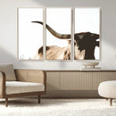 Texas Longhorn Wall Art Canvas Print | 3-Panel Large