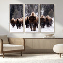Bison Wall Art Canvas Print- Bison Herd Canvas Wall Art –