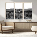 Black and White Highland Cow Canvas Wall Art, Longhorn by MyGreatCanvas | Canvas Wall Art Prints | Photo Prints & Wall Decor