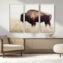 Bison in Field Wall Art Canvas Print For Farmhouse Barn