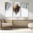 Bison Wall Art Canvas Print For Farmhouse, Animal Canvas
