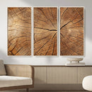 Tree Ring Canvas Art, Rustic Wood Grain Wall Art, Tree Slice