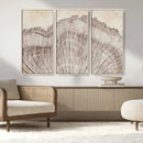 Tree Ring Wall Art Triptych, Rustic Wood Ring Canvas Print,