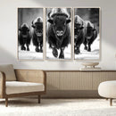 American Bison Art | Buffalo Herd Wall Art Canvas Print, BW