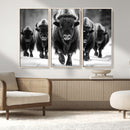 American Bison Art | Buffalo Herd Wall Art Canvas Print, BW