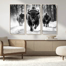 Buffalo Wall Art Canvas Print, Bison Family Wall Art Canvas by MyGreatCanvas | Canvas Wall Art Prints | Photo Prints & Wall Decor