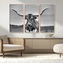 Texas Longhorn Cow Wall Art, Texas Longhorn Canvas, Cattle