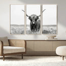 Highland Cow Canvas Wall Art – Majestic Beauty in Black and