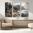 Serene Coastal View of Acadia National Park - Stunning