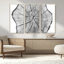 Rustic Tree Ring Wall Art Canvas Print – Framed and Ready to