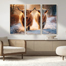 Scottish Highland Cow Horn Farm Wall Art Canvas Print