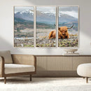 Highland Cow Horn Farm Wall Art Canvas Print