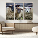 Charming Sheep Portrait Wall Art – Trio of Woolly Companions by MyGreatCanvas | Canvas Wall Art Prints | Photo Prints & Wall Decor