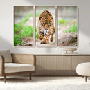 Leopard on the Prowl - Stunning Large Framed Leopard Wall