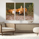 Sleeping Fox Wall Art Canvas Print, Farmhouse Wall Decor and