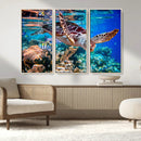 Underwater Coral Reef Sea Turtle Wall Art Canvas Print,