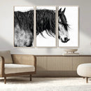 Majestic Horse Wall Art – Framed Black White Portrait Canvas by MyGreatCanvas | Canvas Wall Art Prints | Photo Prints & Wall Decor