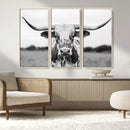 Highland Cow Wall Art Canvas Print – Black and White Western