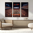 Texas Stadium Night Game Wall Art Canvas Print – Vibrant